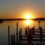 article image -